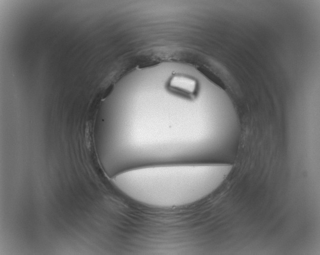X0000064760121200602101038