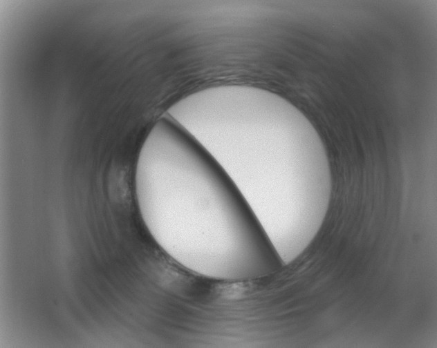X0000064760131200602101037