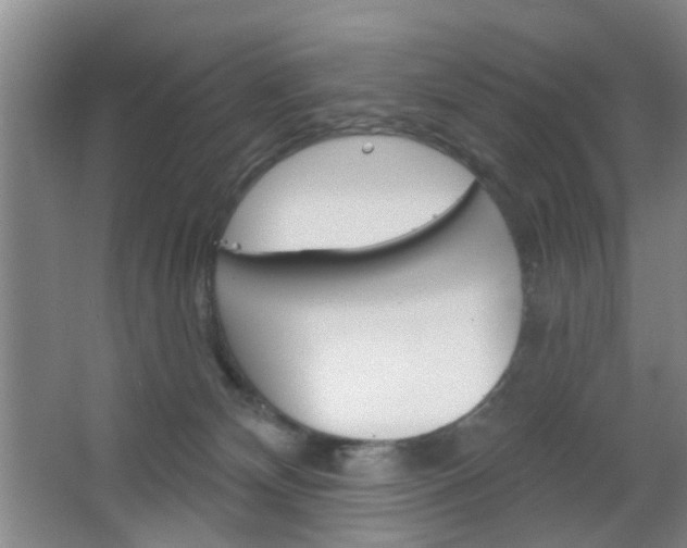 X0000064760132200602101037