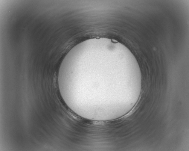 X0000064760144200602101037