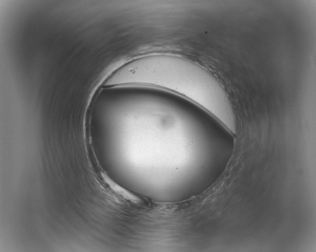 X0000064760148200602101036