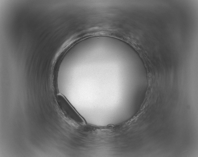 X0000064760150200602101036