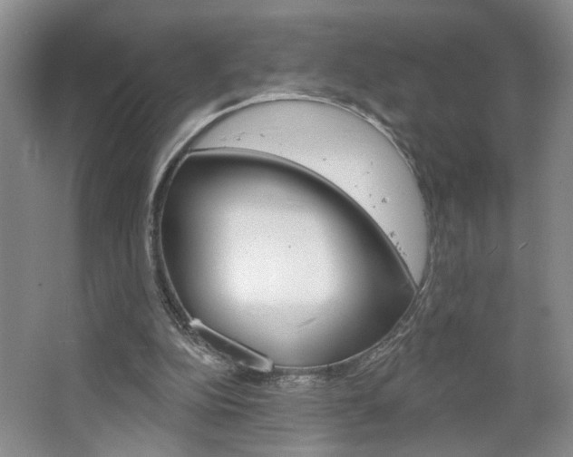 X0000064760152200602101036