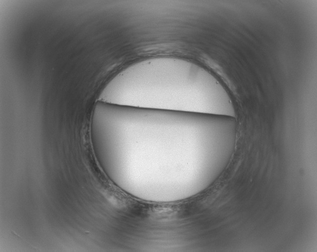 X0000064760161200602101037