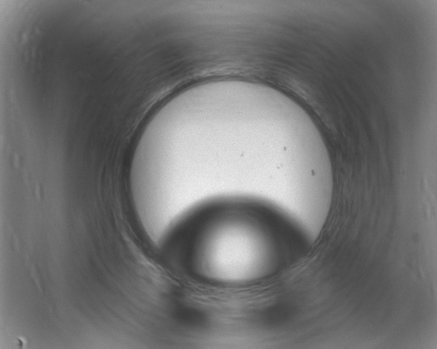 X0000064760164200602101037
