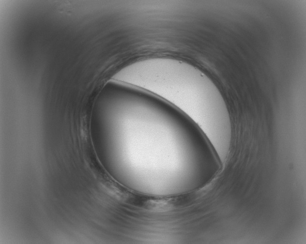 X0000064760170200602101037