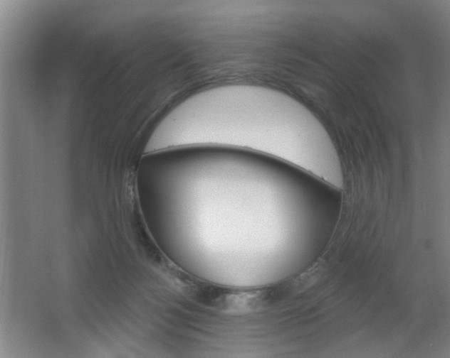 X0000064760172200602101037