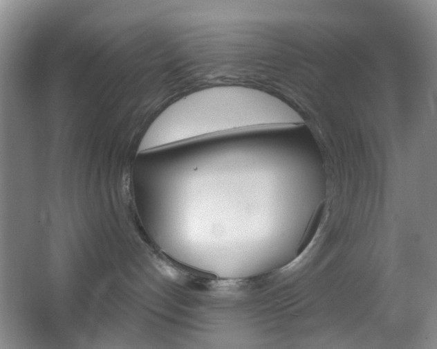 X0000064760192200602101037