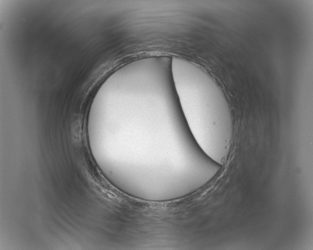 X0000064760194200602101036