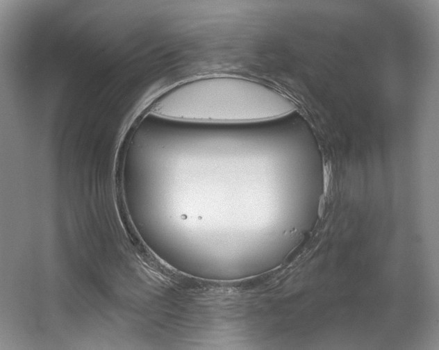 X0000064760195200602101036