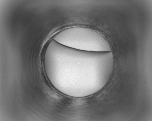 X0000064760198200602101036