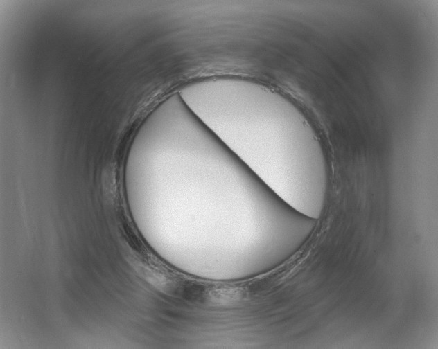 X0000064760202200602101036