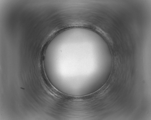 X0000064760203200602101036