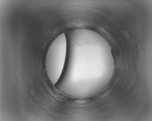 X0000064760213200602101036