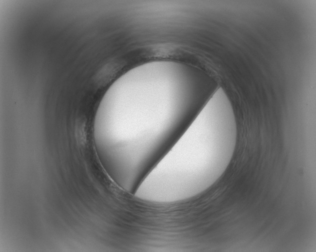 X0000064760216200602101036