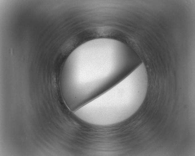 X0000064760220200602101036