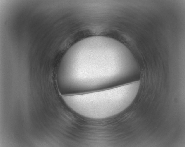 X0000064760221200602101036
