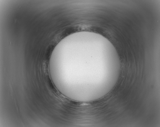 X0000064760222200602101036