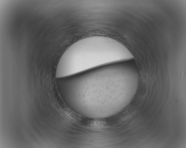 X0000064760223200602101036