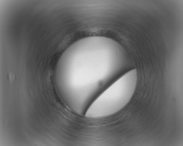 X0000064760225200602101036