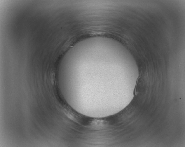 X0000064760227200602101036