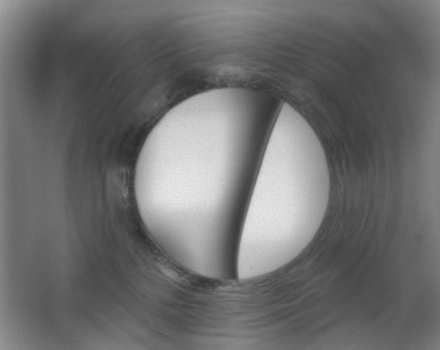 X0000064760232200602101036