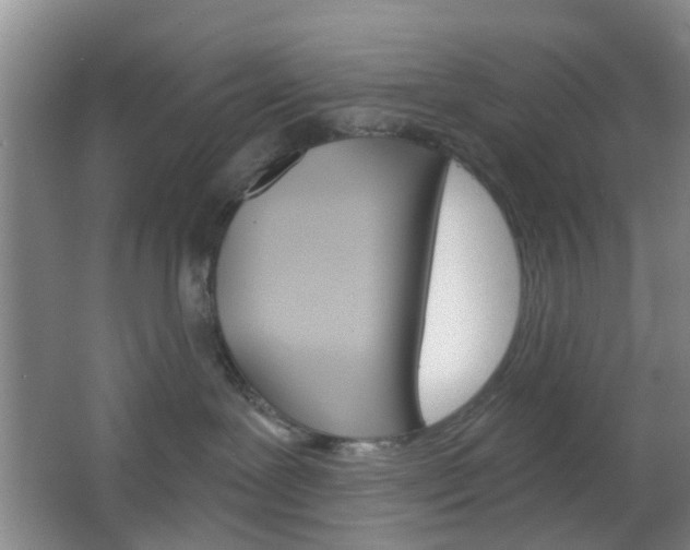 X0000064760239200602101036