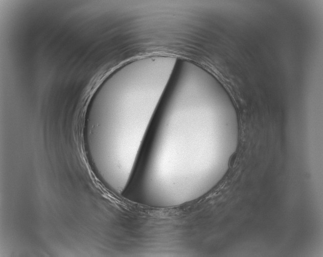 X0000064760241200602101035