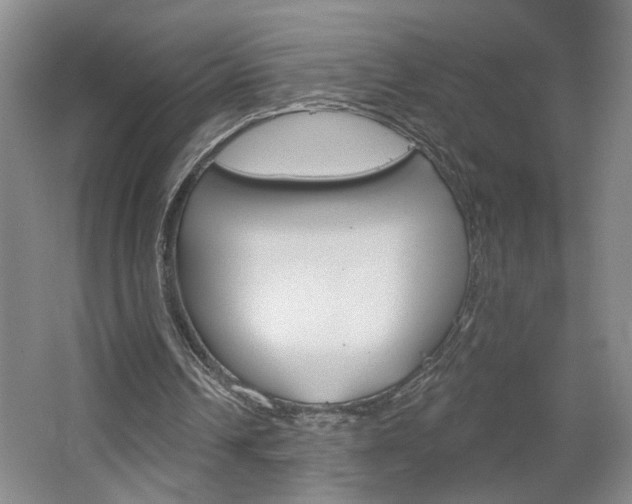 X0000064760242200602101035