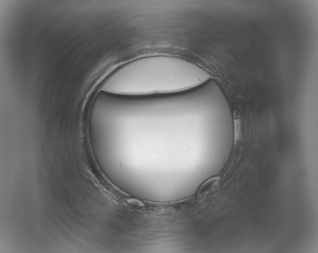 X0000064760243200602101035