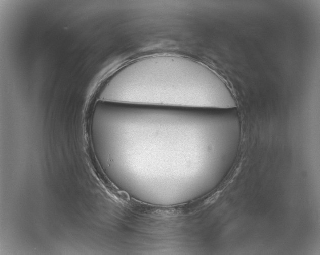 X0000064760245200602101035