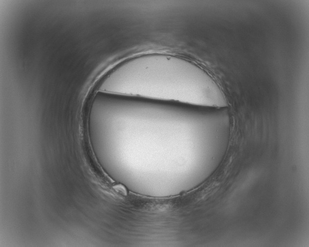 X0000064760247200602101035