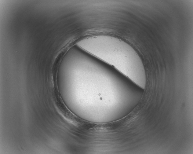 X0000064760254200602101035