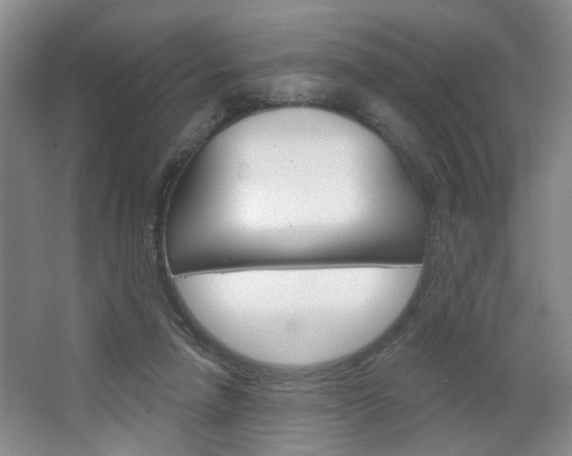 X0000064760258200602101035