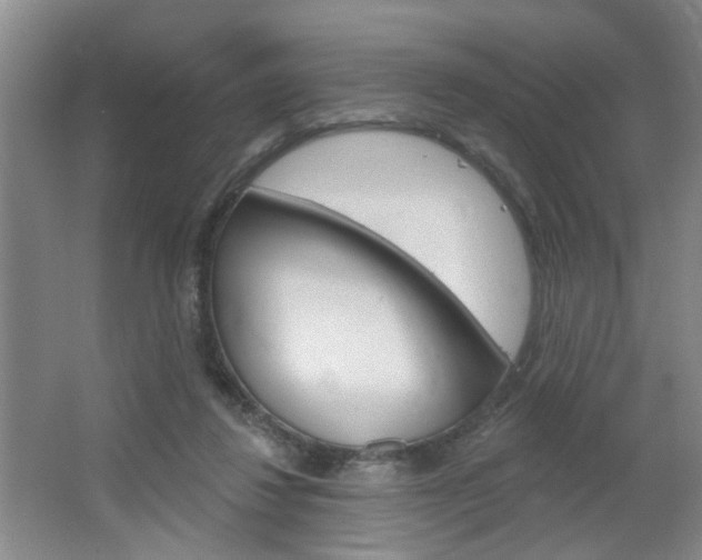 X0000064760260200602101035