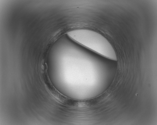 X0000064760264200602101035