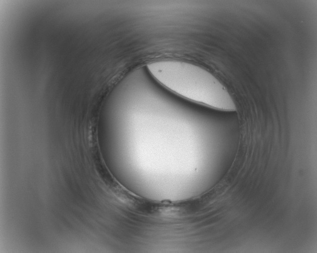 X0000064760268200602101035