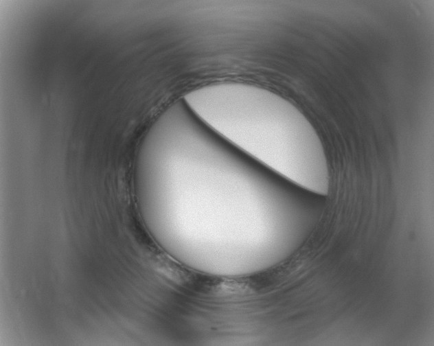 X0000064760270200602101035