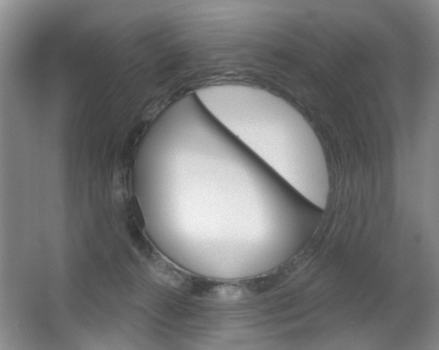 X0000064760272200602101035