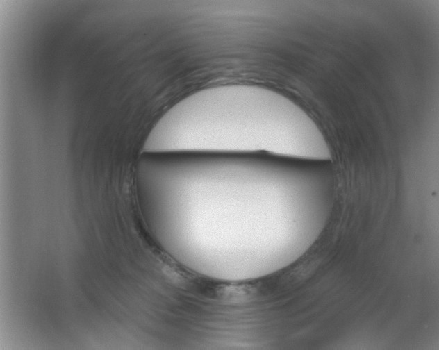 X0000064760277200602101035