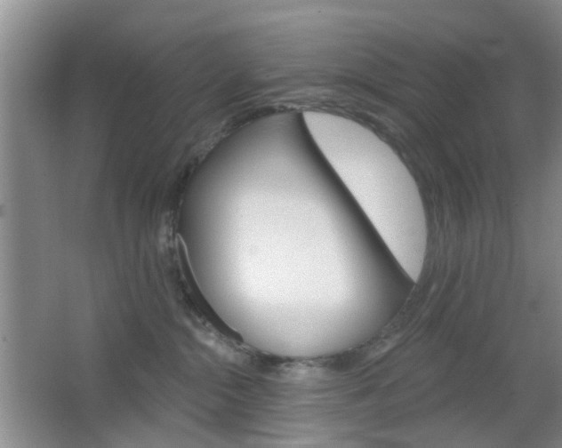 X0000064760284200602101035