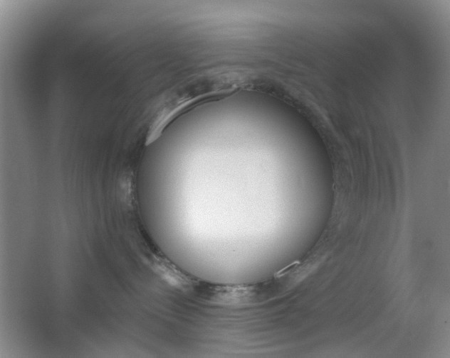 X0000064760288200602101035