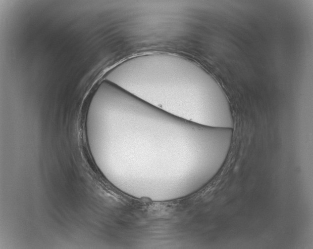X0000064760290200602101035