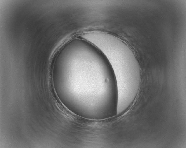 X0000064760293200602101035