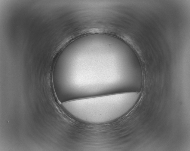 X0000064760297200602101035