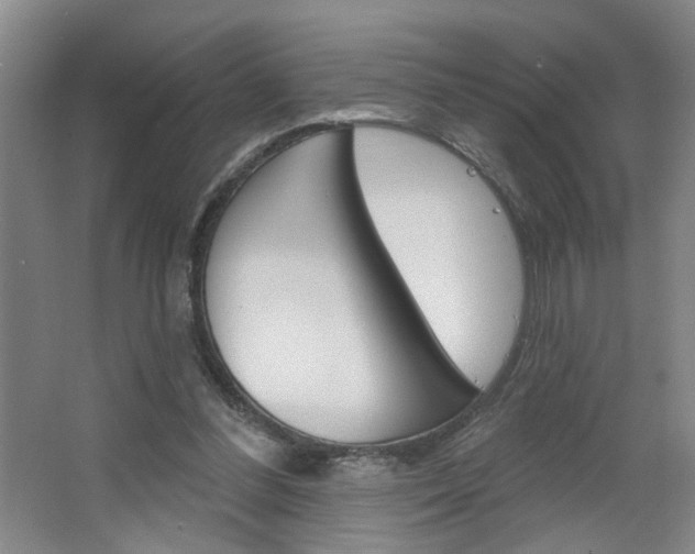 X0000064760300200602101034
