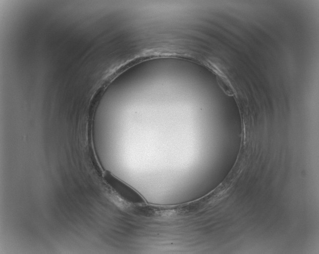 X0000064760301200602101034