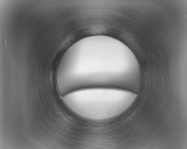 X0000064760308200602101034