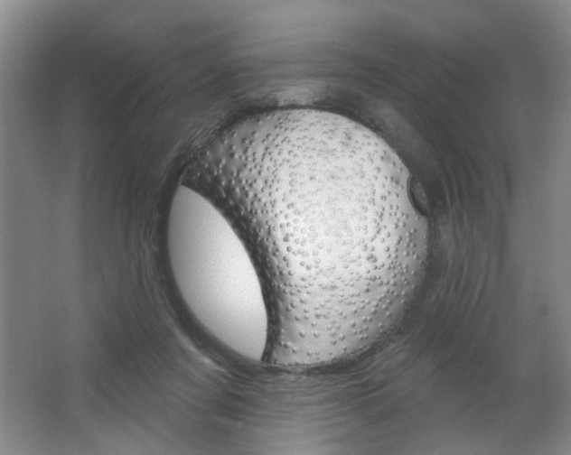 X0000064760311200602101034