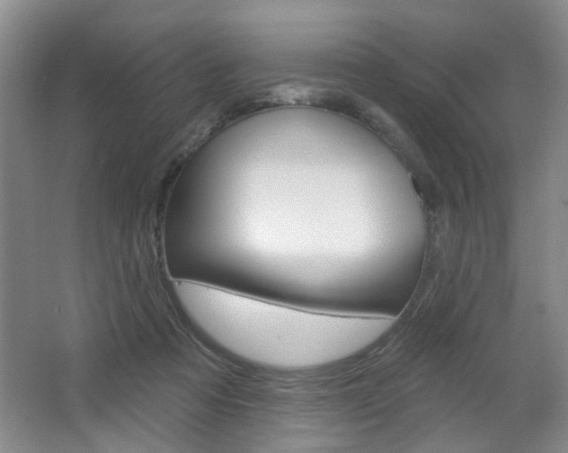 X0000064760313200602101034